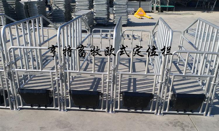自焊养猪设备母猪定位栏