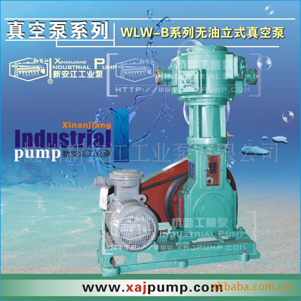 WLW系列无油立式真空泵