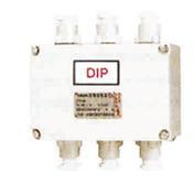 BXJ-DIP系列粉尘防爆接线箱（DIPA20）