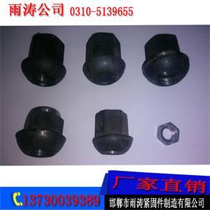 铸钢螺母厂家/雨涛紧固件sell/蘑菇头螺母/铸钢螺母厂家
