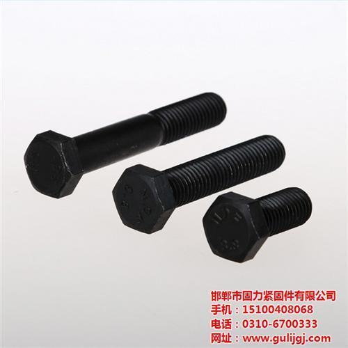 高强度螺栓_固力紧固件螺栓厂(图)_m42高强度螺栓