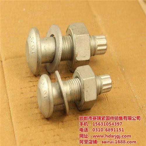 赛瑞紧固件(多图)_10.9级扭剪型高强螺栓生产制造厂家