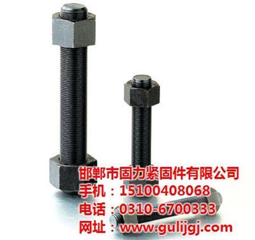 高强度螺栓m16,高强度螺栓,固力紧固件高强度螺栓厂家
