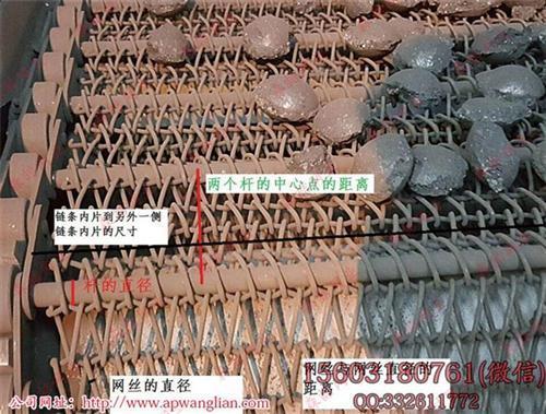 泰州不锈钢网链输送机、森喆金属(优质商家)