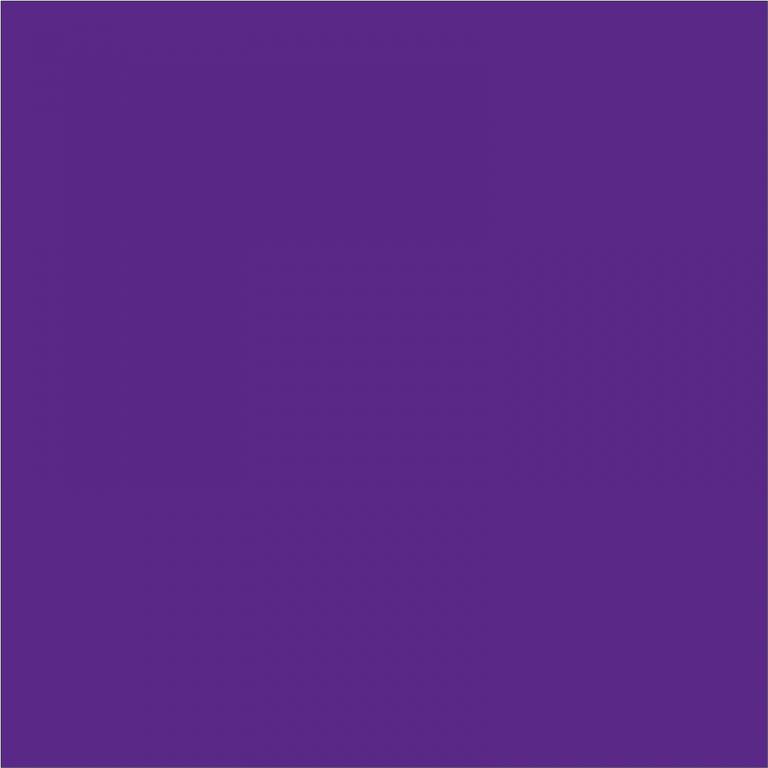 分散紫 Violet P-RL 100%