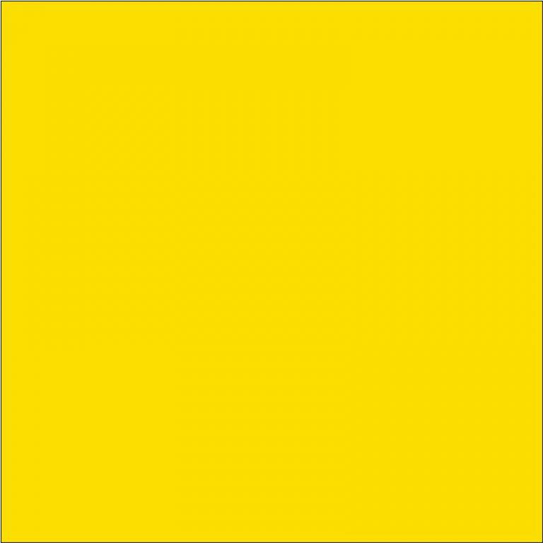 分散黄 Yellow RECP-6G 200%