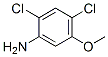 2,4-二氯-5-甲氧基苯胺