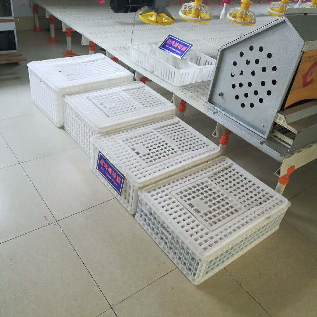 运输鸡笼
