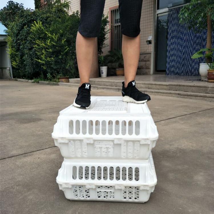 运输鸡筐