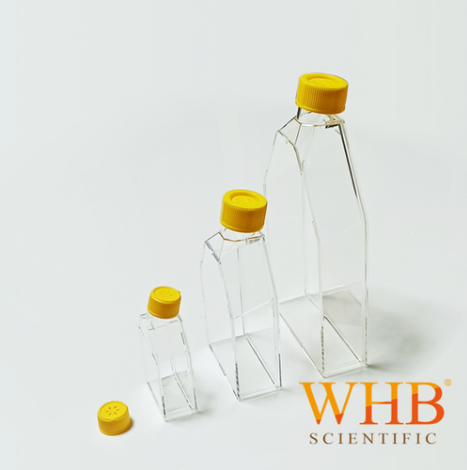 WHB 细胞培养瓶