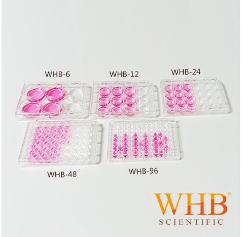 WHB 细胞培养板