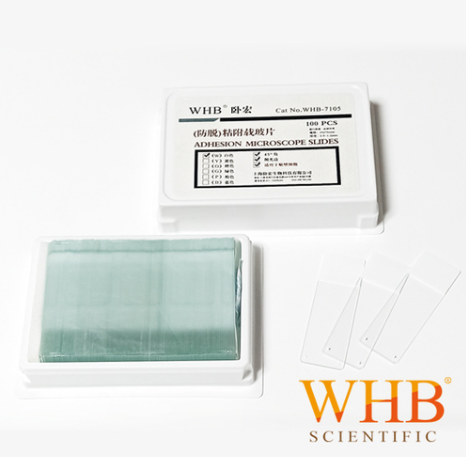 WHB  防脱载玻片