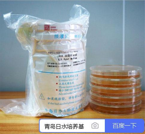表面接觸皿TSA