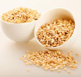 小麦低聚肽