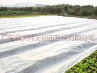 蔬菜覆盖布蔬菜防鸟蔬菜布防虫无纺布农用无纺布