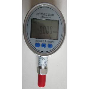 DY600 数字精密压力表