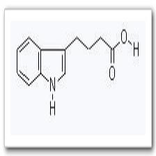 3-吲哚丁酸
