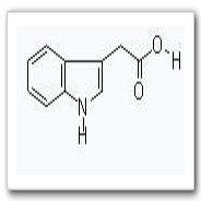 3-吲哚乙酸