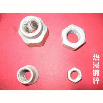 热镀锌母