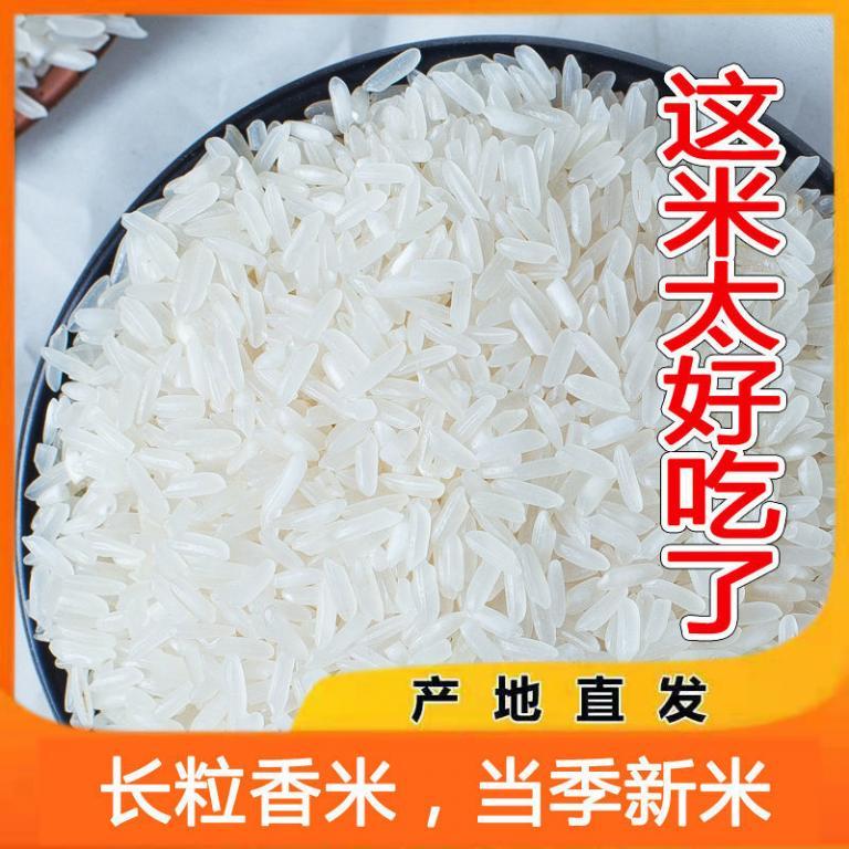 南方大米批发价长粒香米