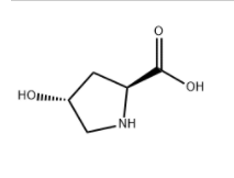 L-羟基脯氨酸   51-35-4