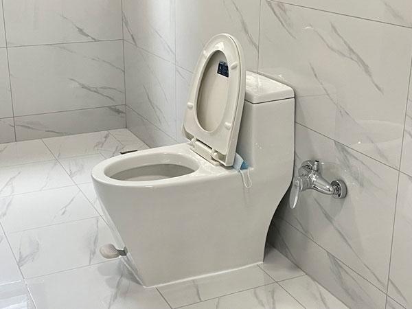 一生水超节水陶瓷脚踏直排式坐便器