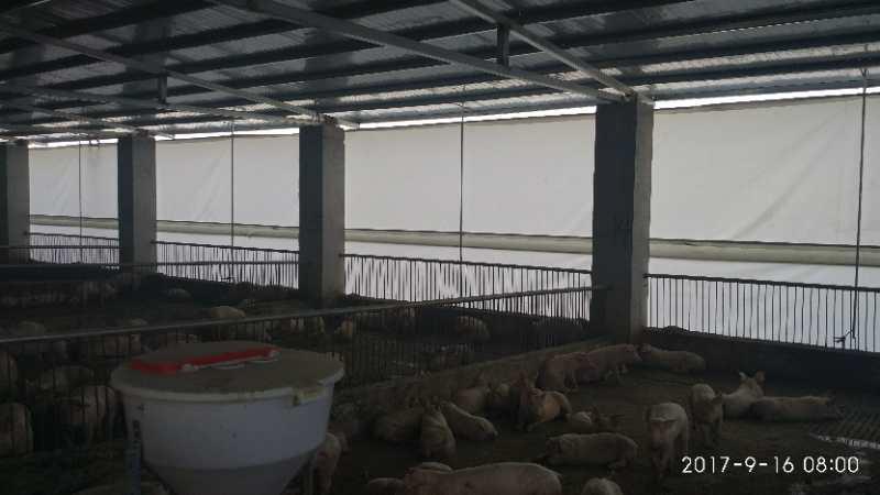 猪场卷帘布养殖场 防雨布