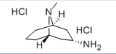 Endo-3-amine-9-methyl-9-azabicyclo[3,3,1]nonane dihydrochloride