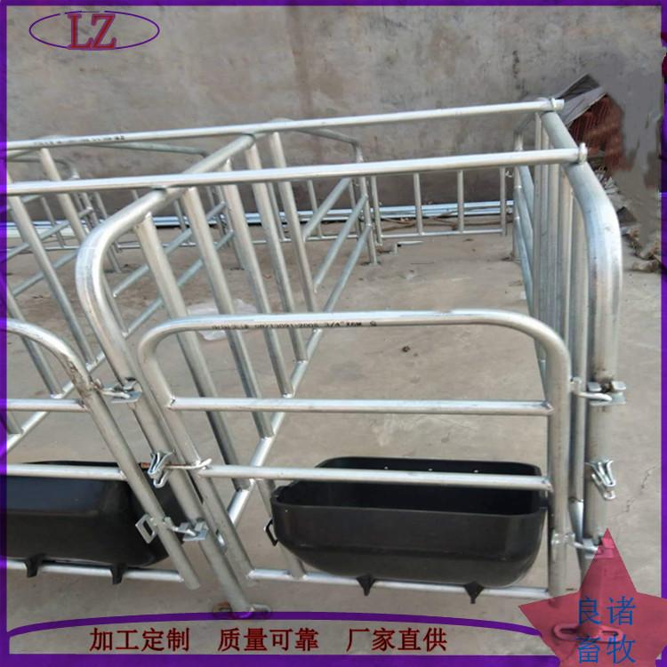 养猪场母猪定位栏热镀锌大架钢板食槽