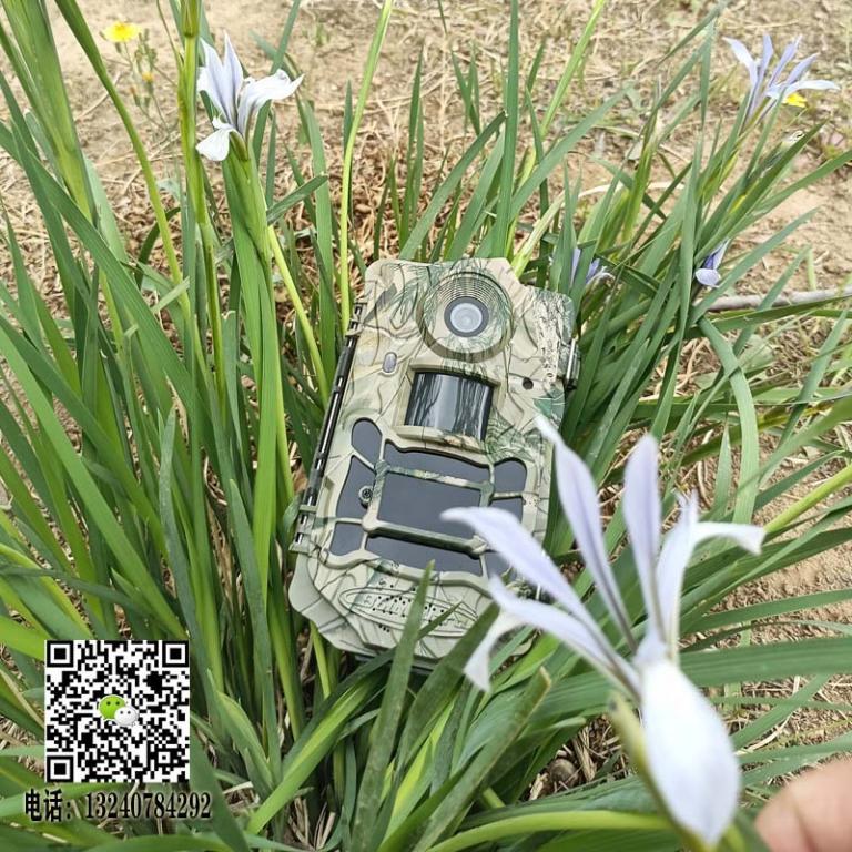 BG962-X36W物候生态相机广角超高清红外相机