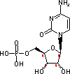 5'-胞苷酸