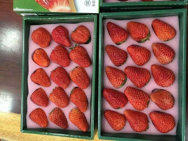 重庆周边珍珠棉黑色草莓托苹果托EPE珍珠棉缓冲内垫定制加工报价