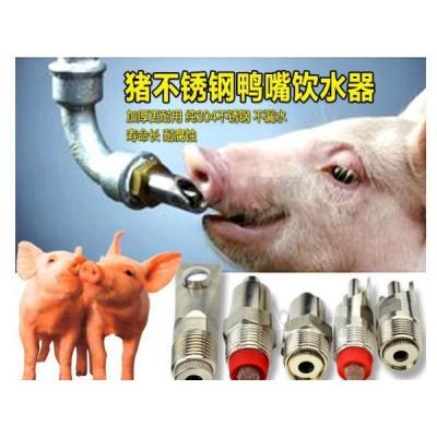 母猪自动饮水器兽用节能饮水碗大号饮水碗