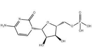 胞苷酸 cas：63-37-6