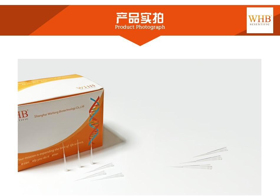 WHB 电泳加样吸头