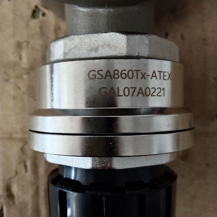 GASTRON，GASTRON气体探测器， GTD- 2000Tx