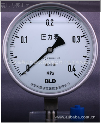 不锈钢耐震压力表YTHN-100.AO.531(YTN-100H)
