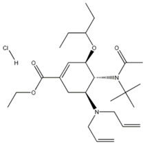 (3R,4r,5s)-4-n-乙酰基(1,1-二甲基乙基)氨基-5-N,N-二烯丙基氨基-3-(1-乙基丙氧基)-1-環(huán)己烯-1-羧酸乙酯鹽酸鹽