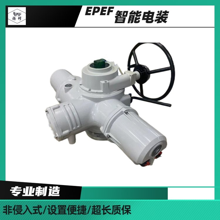 隔爆型电动头EXC.2SA8031