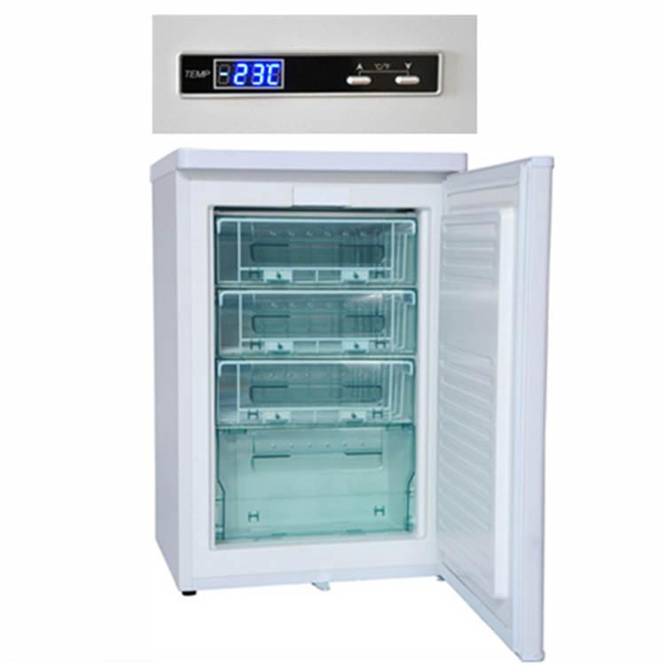 实验室-10℃低温冰箱