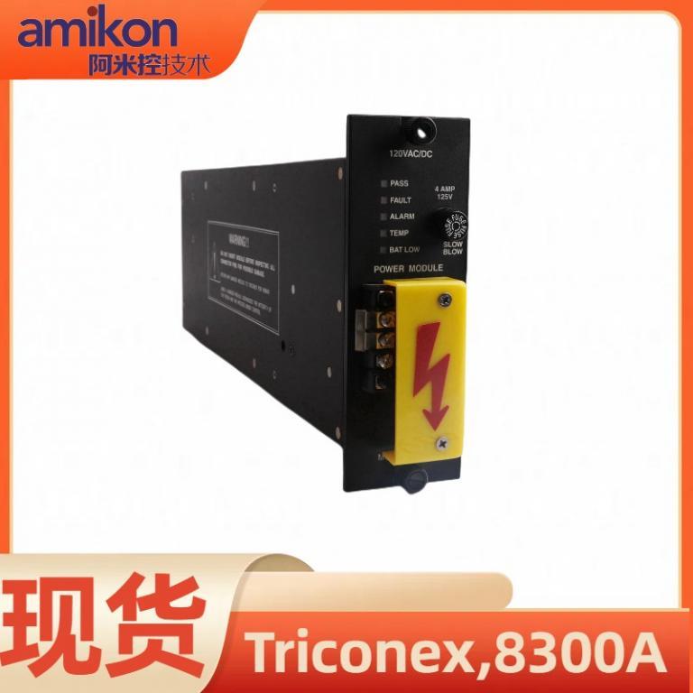 8300A 安全控制器