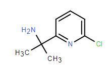 2-(6-氯吡啶-2-基)丙-2-胺170438-29-6