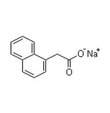 萘乙酸钠盐