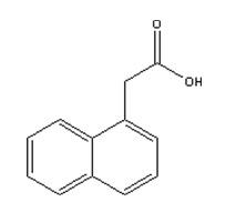 萘乙酸