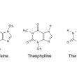 许昌瑞达生物科技有限公司