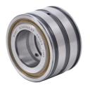 China Sealed double row full complement cylindrical roller bearings SL04 5007 PP - China Supplier