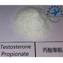China CAS 57-85-2 Testosterone Propionate - China Supplier