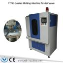 China Automatic PTFE Teflon Gasket Molding Machine - China Supplier