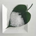 China Urea Formaldehyde resin glue CAS No.:9011-05-6 - China Supplier