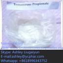 China Steroid Powder Testosterone Propionate CAS 57-85-2 for Bodybuilding ashley@ycphar.com - China Supplier